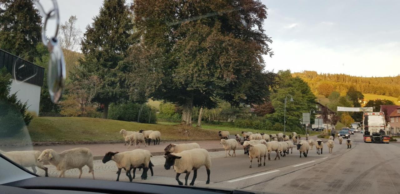 Ferienwohnung Vogelnest Im Schwarzwald Baiersbronn Dış mekan fotoğraf