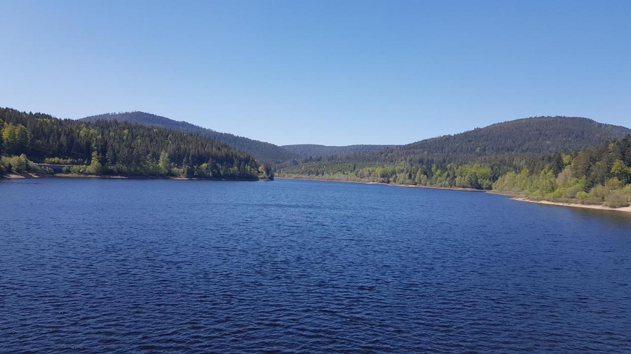 Ferienwohnung Vogelnest Im Schwarzwald Baiersbronn Dış mekan fotoğraf