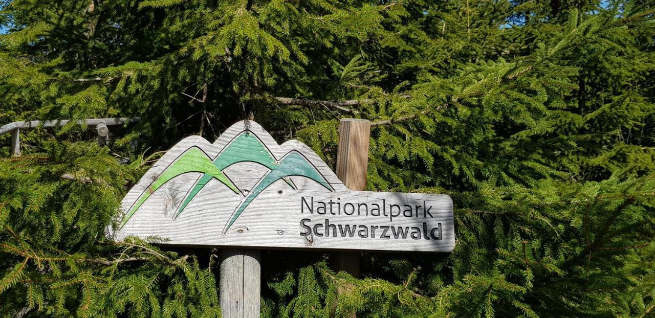 Ferienwohnung Vogelnest Im Schwarzwald Baiersbronn Dış mekan fotoğraf