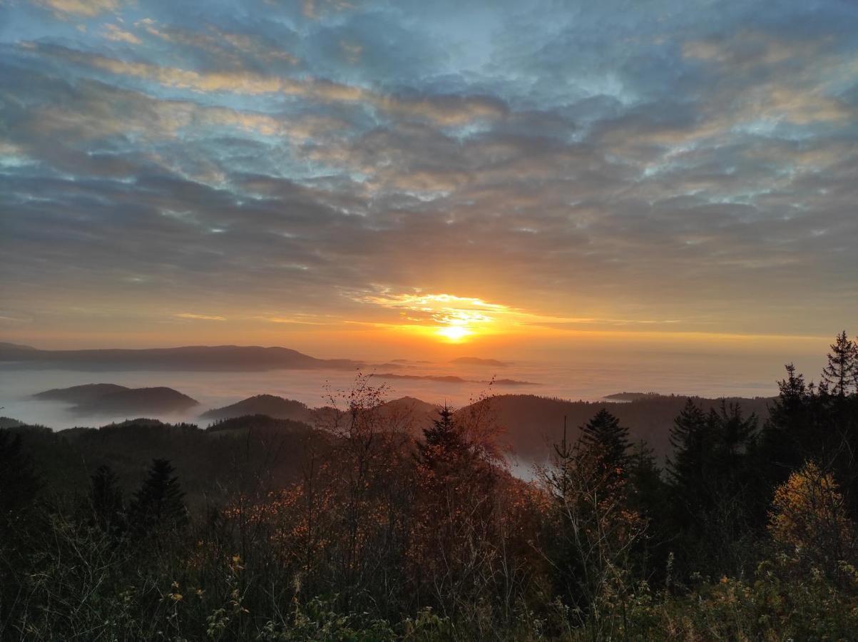 Ferienwohnung Vogelnest Im Schwarzwald Baiersbronn Dış mekan fotoğraf
