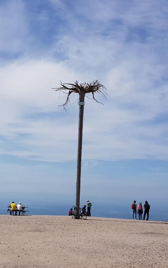 Ferienwohnung Vogelnest Im Schwarzwald Baiersbronn Dış mekan fotoğraf
