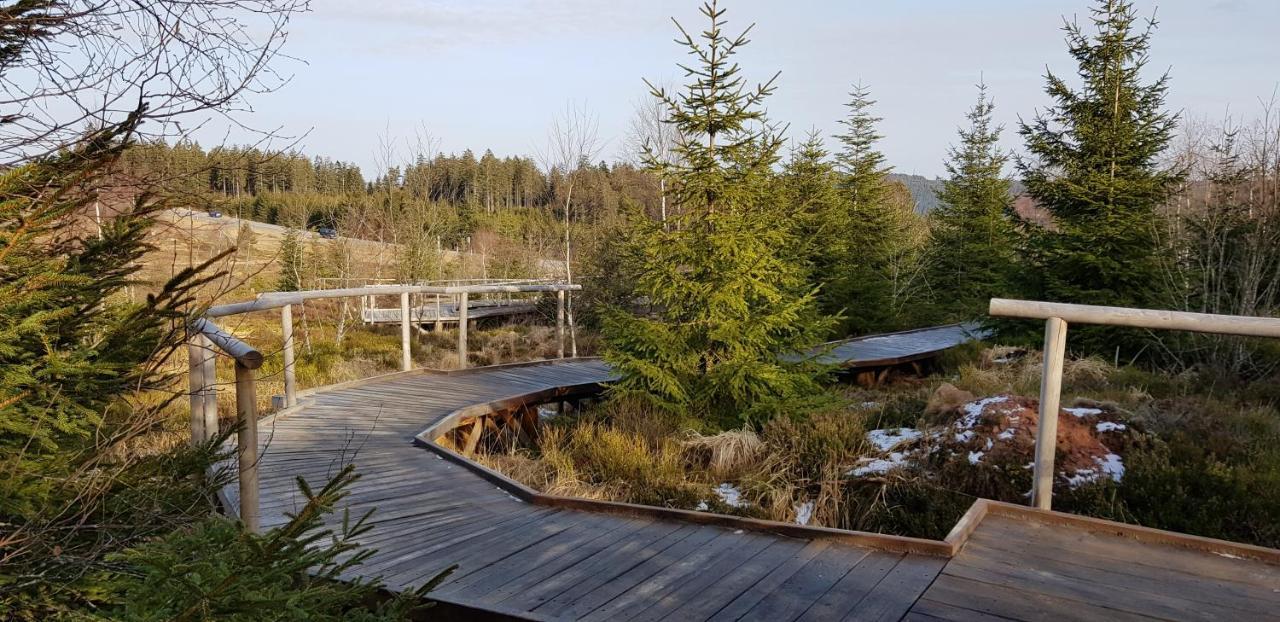 Ferienwohnung Vogelnest Im Schwarzwald Baiersbronn Dış mekan fotoğraf