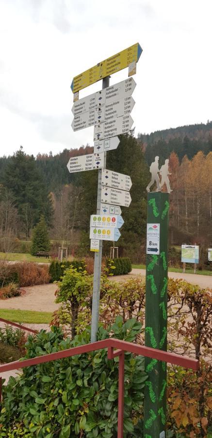 Ferienwohnung Vogelnest Im Schwarzwald Baiersbronn Dış mekan fotoğraf