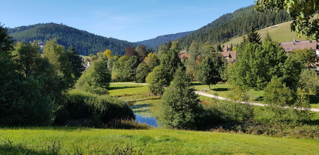 Ferienwohnung Vogelnest Im Schwarzwald Baiersbronn Dış mekan fotoğraf