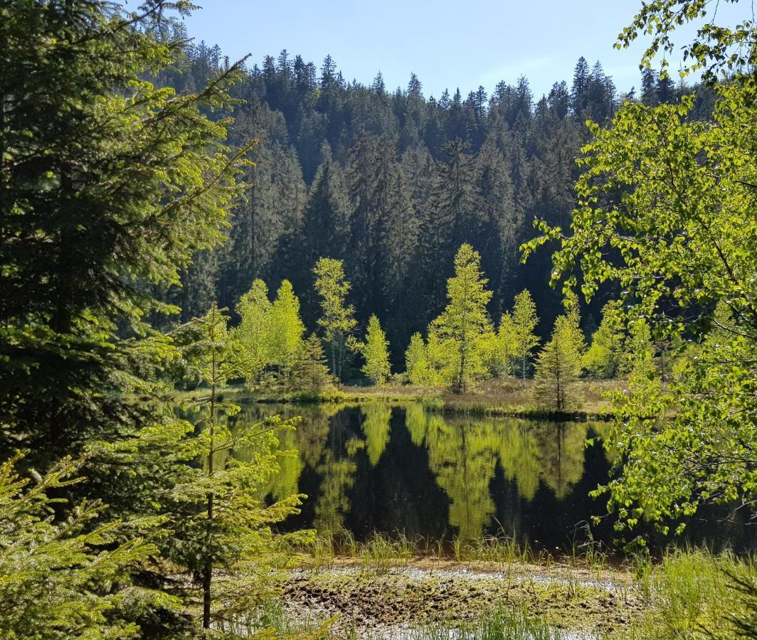 Ferienwohnung Vogelnest Im Schwarzwald Baiersbronn Dış mekan fotoğraf
