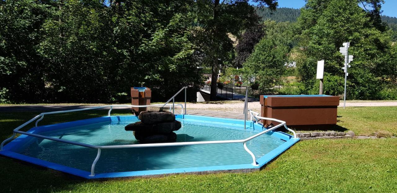 Ferienwohnung Vogelnest Im Schwarzwald Baiersbronn Dış mekan fotoğraf