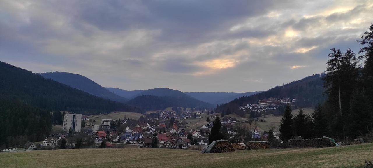 Ferienwohnung Vogelnest Im Schwarzwald Baiersbronn Dış mekan fotoğraf