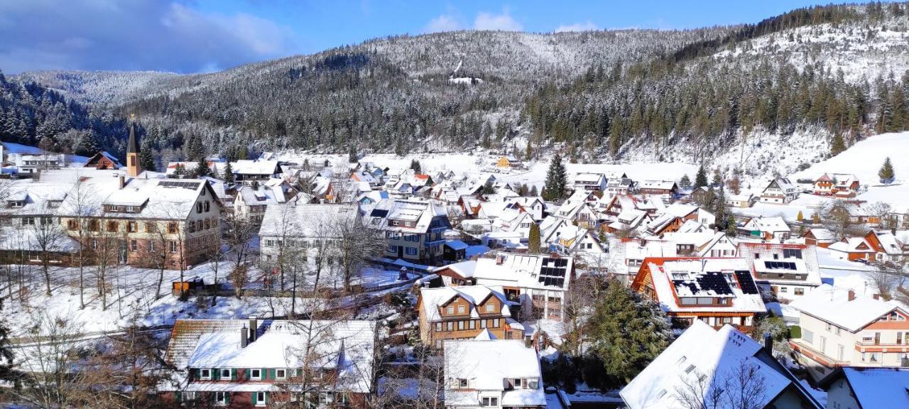 Ferienwohnung Vogelnest Im Schwarzwald Baiersbronn Dış mekan fotoğraf