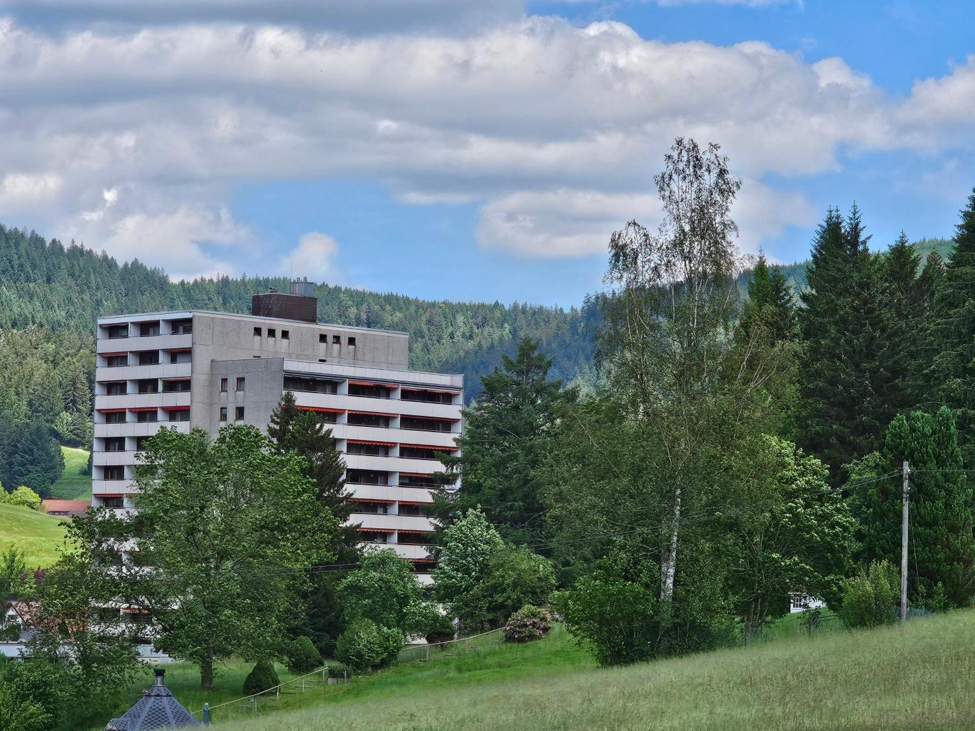 Ferienwohnung Vogelnest Im Schwarzwald Baiersbronn Dış mekan fotoğraf