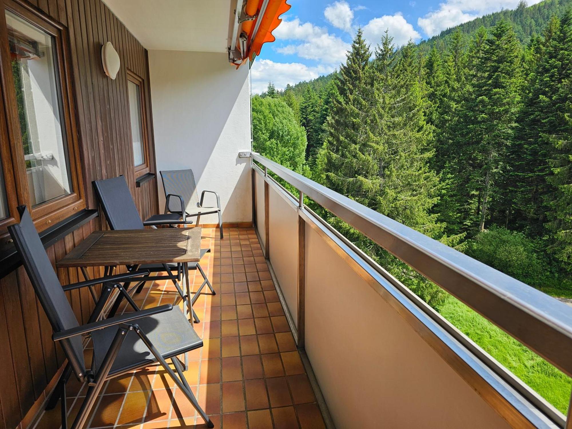 Ferienwohnung Vogelnest Im Schwarzwald Baiersbronn Dış mekan fotoğraf